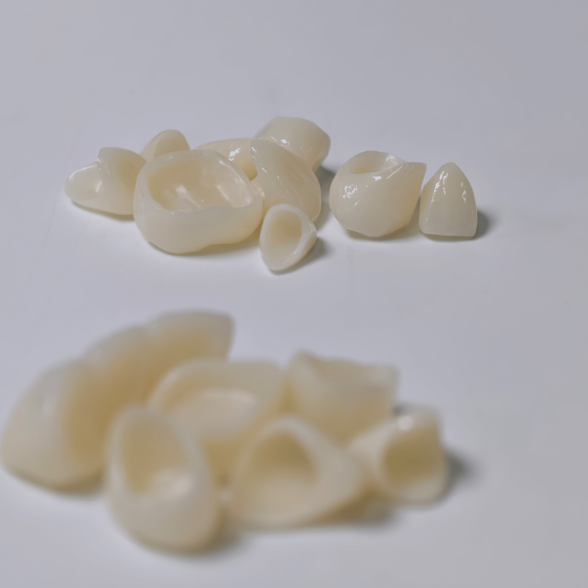 High - Strength Zirconia Bridge and Crow